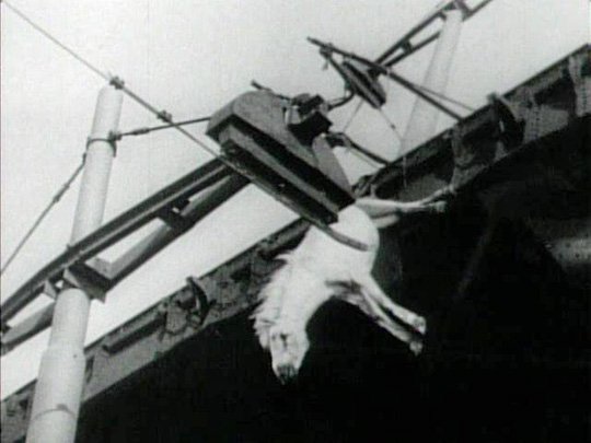 [Chronique] Jacques Sicard, Vingt-cinq photographies de Chris Marker, par Guillaume Basquin