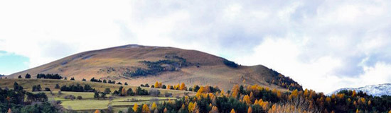 [Chronique] Olivier Domerg, Le Manscrit, par Guillaume Basquin