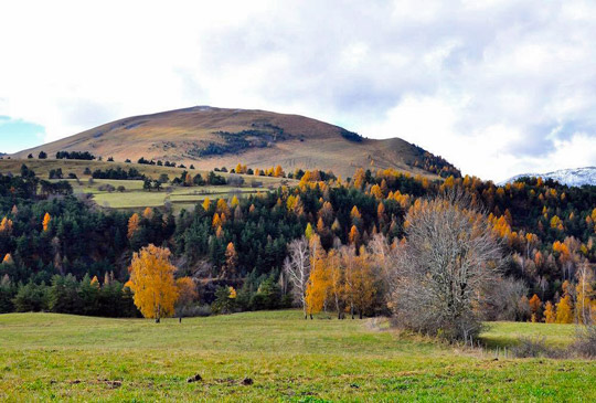[Chronique] Olivier Domerg, Le Manscrit, par Guillaume Basquin