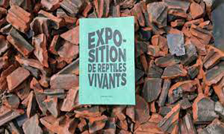 [Chronique] Guillaume Marie, Exposition de reptiles vivants, par CHRISTOPHE STOLOWICKI