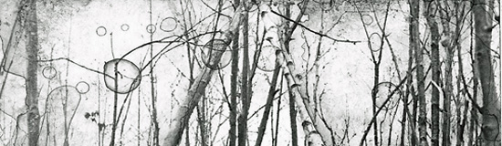 [Création] Joël Hubaut, Épidémik (30)