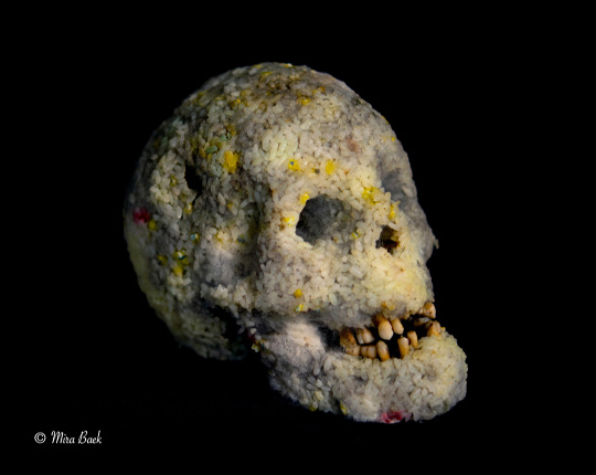 [Chronique] Mira Baek ou la mort vivante, par Tristan Felix