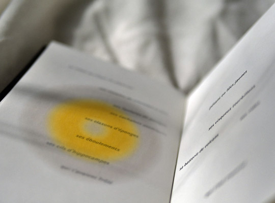 [Chronique] PHONOKAINÔSIS, par Carole Darricarrère