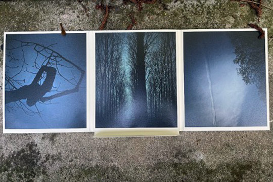 [Chronique] François Crosnier, « Quand le noir tombe… » (à propos de Samira Negrouche, Traces)