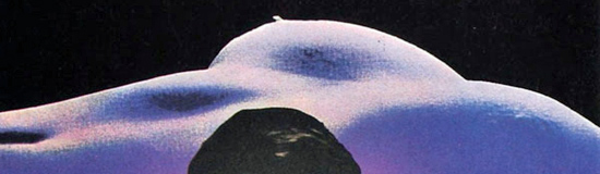 [Texte] Tristan Felix, Le marcassin et le flocon de neige