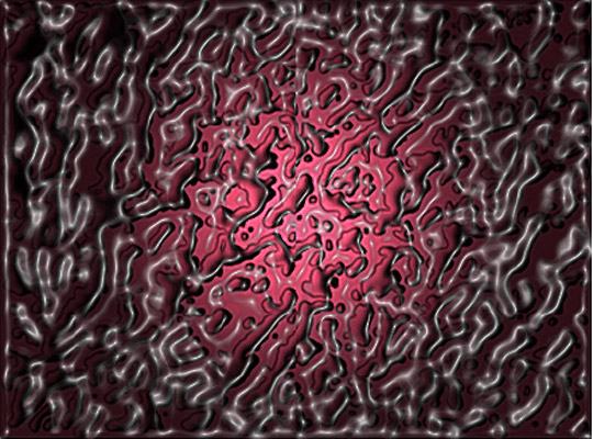 [Création] Daniel Cabanis, Sentier lumineux des embryons (3/6)