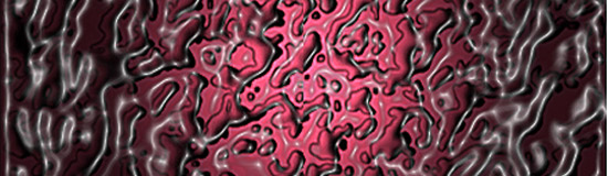 [Création] Daniel Cabanis, Sentier lumineux des embryons (3/6)