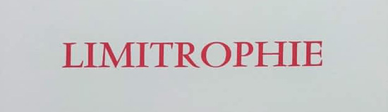 [Chronique] Temenuzhka Dimova : ce qu&rsquo;il en est de l&rsquo;amour, par Jean-Paul Gavard-Perret