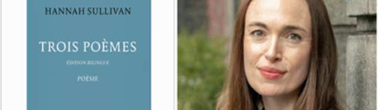 [Chronique] Arnaud Talhouarn, Trois poèmes limpides et bouleversants (à propos de Hannah Sullivan, Trois poèmes)