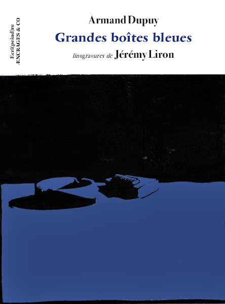 [Chronique] Armand Dupuy, Grandes boîtes bleues, par Carole Darricarrère