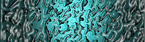 [Création] Daniel Cabanis, Sentier lumineux des embryons (4/6)