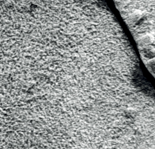 [Chronique] Danièle Faugeras, Opus incertum, par CHRISTOPHE STOLOWICKI