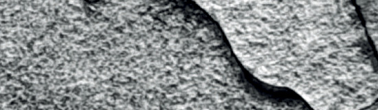 [Chronique] Danièle Faugeras, Opus incertum, par CHRISTOPHE STOLOWICKI