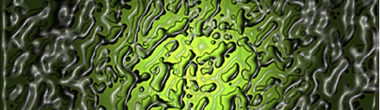 [Texte] Daniel Cabanis, Sentier lumineux des embryons (6/6)