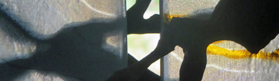 [Texte] Guillaume Basquin, Extrait du 2e chapitre de L’Histoire splendide, « Mille romans »