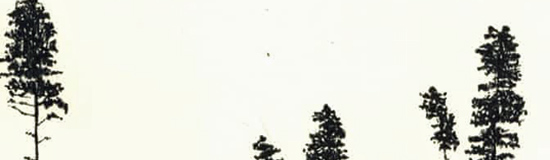 [Libr-relecture] Germain Tramier, Corps silencieux, par Ahmed Slama