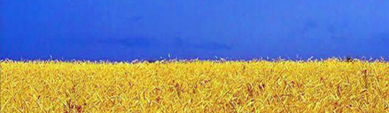 [Texte] Claude Minière, Vent