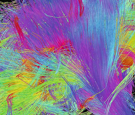 [Texte] Tara Mer, Braille