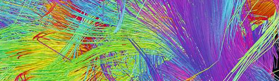 [Texte] Tara Mer, Braille