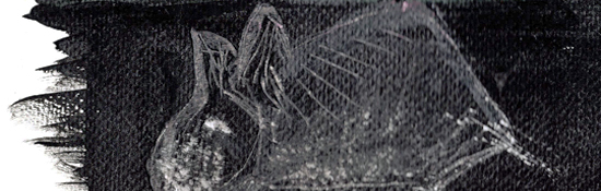 [Texte] Corinne Lovera Vitali, Dans le noir