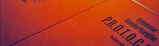 [Chronique] Fabrice Thumerel, Pour une écriture charognardisée (Stéphane Vanderhaeghe, P.R.O.T.O.C.O.L.)