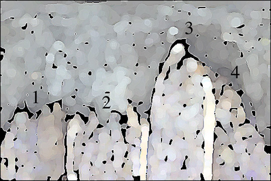 [Création] Daniel Cabanis, COMPARUTIONS EXPÉDITIVES (1/6)