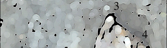 [Création] Daniel Cabanis, COMPARUTIONS EXPÉDITIVES (1/6)