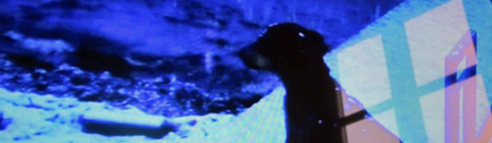 [Texte] Corinne Lovera Vitali, Adieu au langage (Clin d&rsquo;oeil à Jean-Luc Godard)