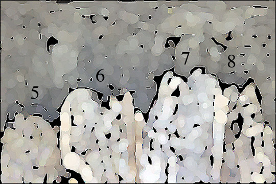 [Création] Daniel Cabanis, Comparutions expéditives (2/6)