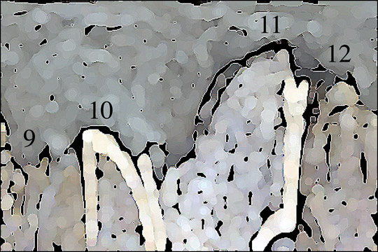 [Création] Daniel Cabanis, Comparutions expéditives (3/6)