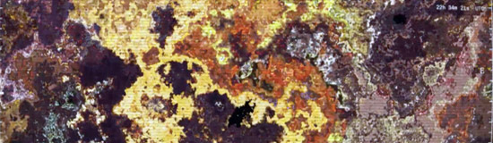 [Chronique] François Crosnier, Quatre femmes puissantes (à propos de Florence Jou, Payvagues)