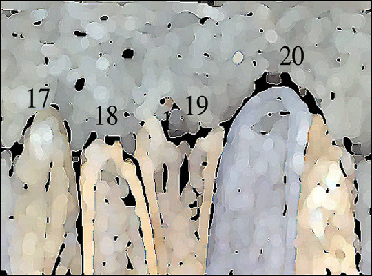 [Création] Daniel Cabanis, Comparutions expéditives (5/6)