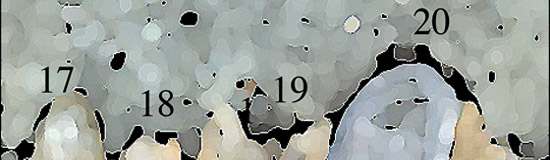 [Création] Daniel Cabanis, Comparutions expéditives (5/6)