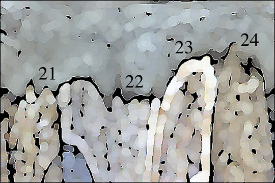 [Création] Daniel Cabanis, Comparutions expéditives (6/6)