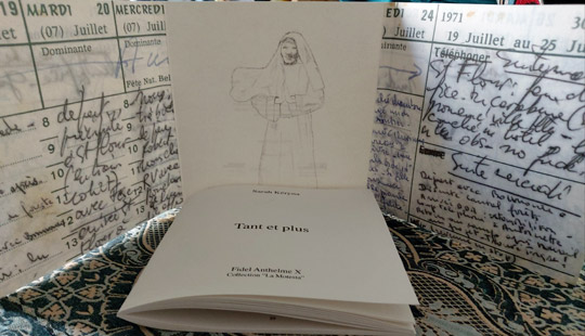 [Chronique] Sarah Keryna, Tant et plus, par CHRISTOPHE STOLOWICKI