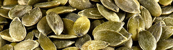 [Création] Vincent Tholomé et Matthieu Safatly, Je ne suis pas friand des graines de courge, poèmes extraits de L&rsquo;existence