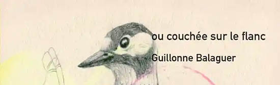 [Chronique] François Crosnier, « Mais toujours c’est calame » (à propos de Guillon Balaguer, Ou couchée sur le flanc)