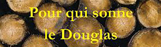 [Chronique] Jules Vipaldo, Pour qui sonne le Douglas ?, par Guillaume Basquin