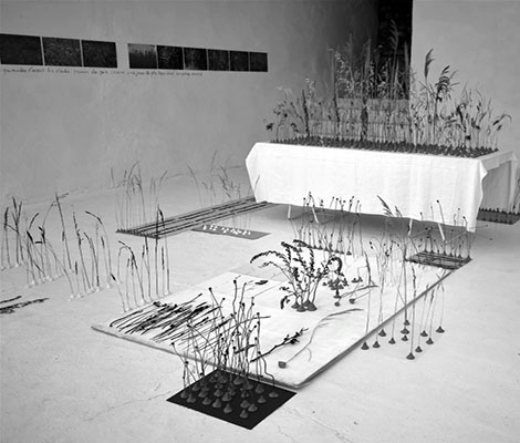 [Chronique] Sanda Voïca, L’Ère de santé, par CHRISTOPHE STOLOWICKI