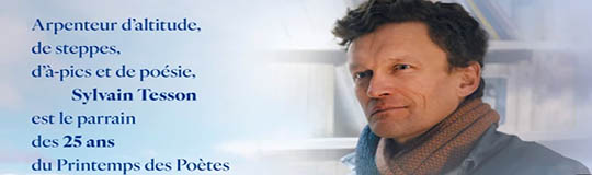 [Texte] Agence tumorale de communication disruptive, Retour-à-l&rsquo;ordre (2)