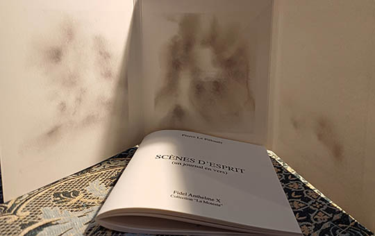 [Chronique] Pierre Le Pillouër, Scènes d’esprit (un journal en vers), par Bruno Fern