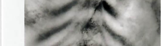 [Chronique] Tous les chiens sont bleus de Rodrigo de Souza Leão, par Christophe Esnault