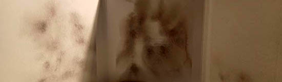 [Chronique] Pierre Le Pillouër, Scènes d’esprit (un journal en vers), par Bruno Fern