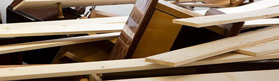 [Chronique] Sébastien Ecorce, La théorie du cordon sanitaire