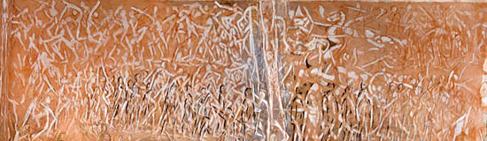 [Chronique] Gilles Jallet, Miklos Bokor,  « dans le secret de la rencontre »