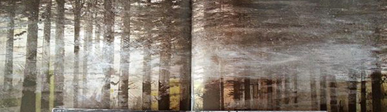 [Texte] Fabrice Caravaca, Une histoire sombre