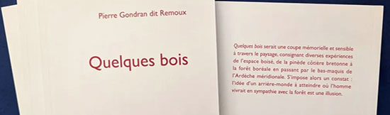 [Chronique] Tristan Felix, La poésie vasculaire de Pierre Gondran dit Remoux