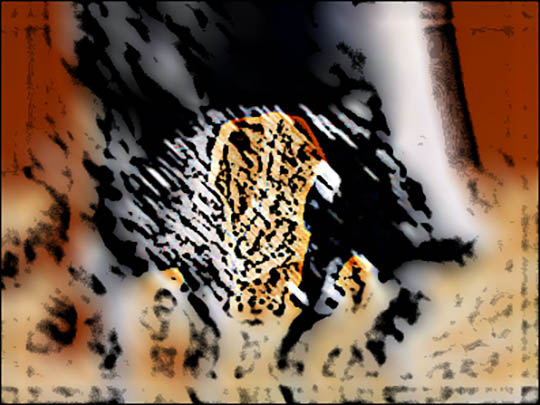 [Création] Daniel Cabanis, Optique de la fuite en avant, mouvement n° 2