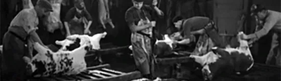 [Texte] Erik Wahl, Extrait de Sales Rêves, Roème, Chant 7 Tout sur Tôkyôto© de toc (partie 2)