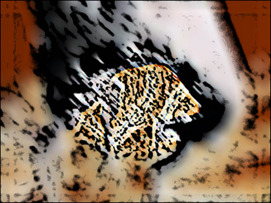 [Création] Daniel Cabanis, Optique de la fuite en avant (4/6)